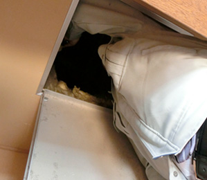 住宅診断イメージ